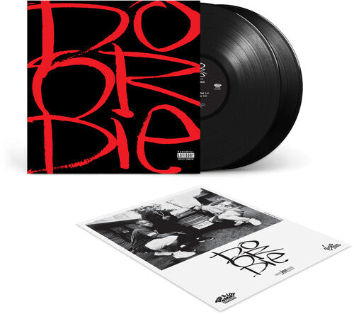 DO OR DIE 'PICTURE THIS' 2LP (30th Anniversary Edition) – Veeps Inc
