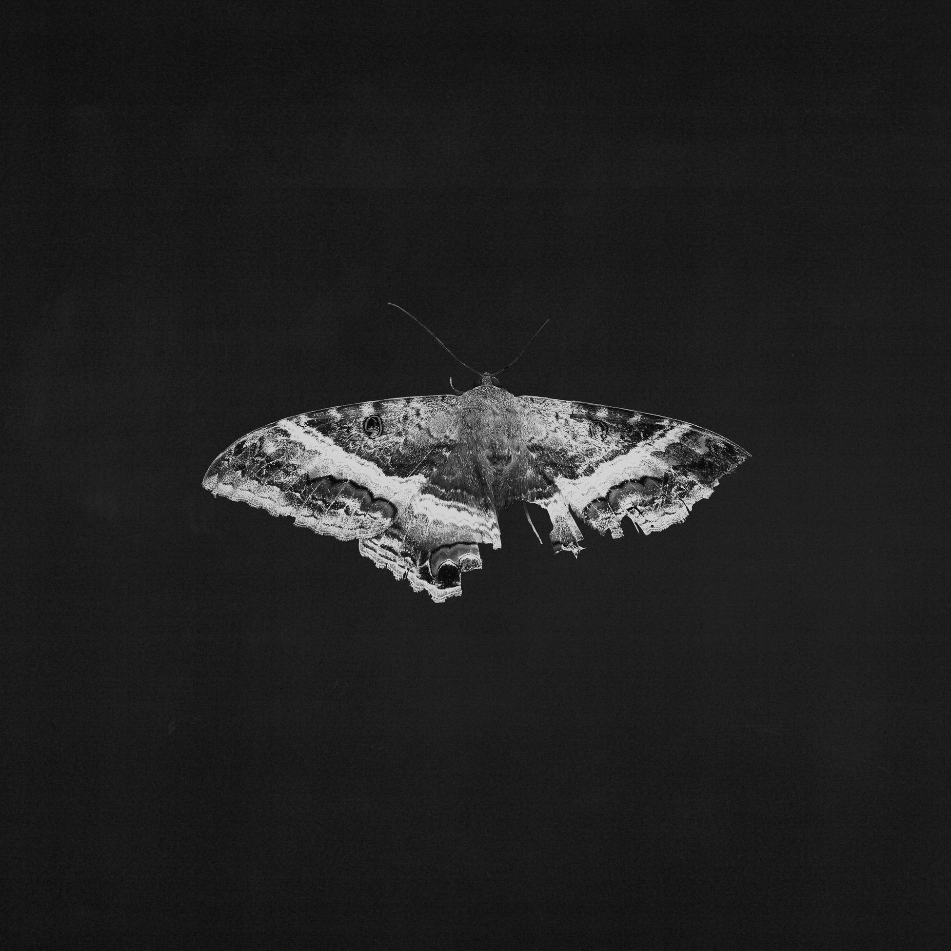 KENDRICK LAMAR 'TO PIMP A BUTTERFLY' 10TH ANNIVERSARY EDITION 2LP - ALTERNATE ARTWORK