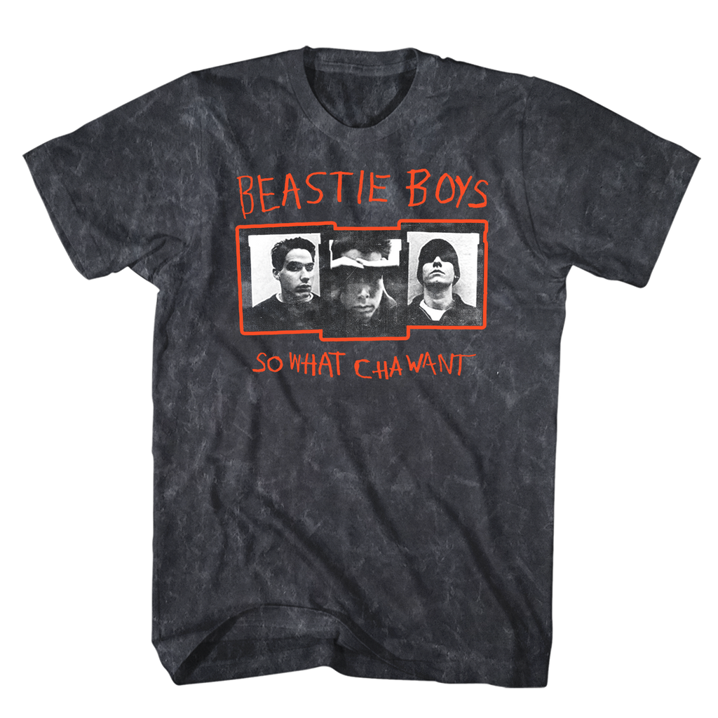 BEASTIE BOYS WHAT CHA WANT