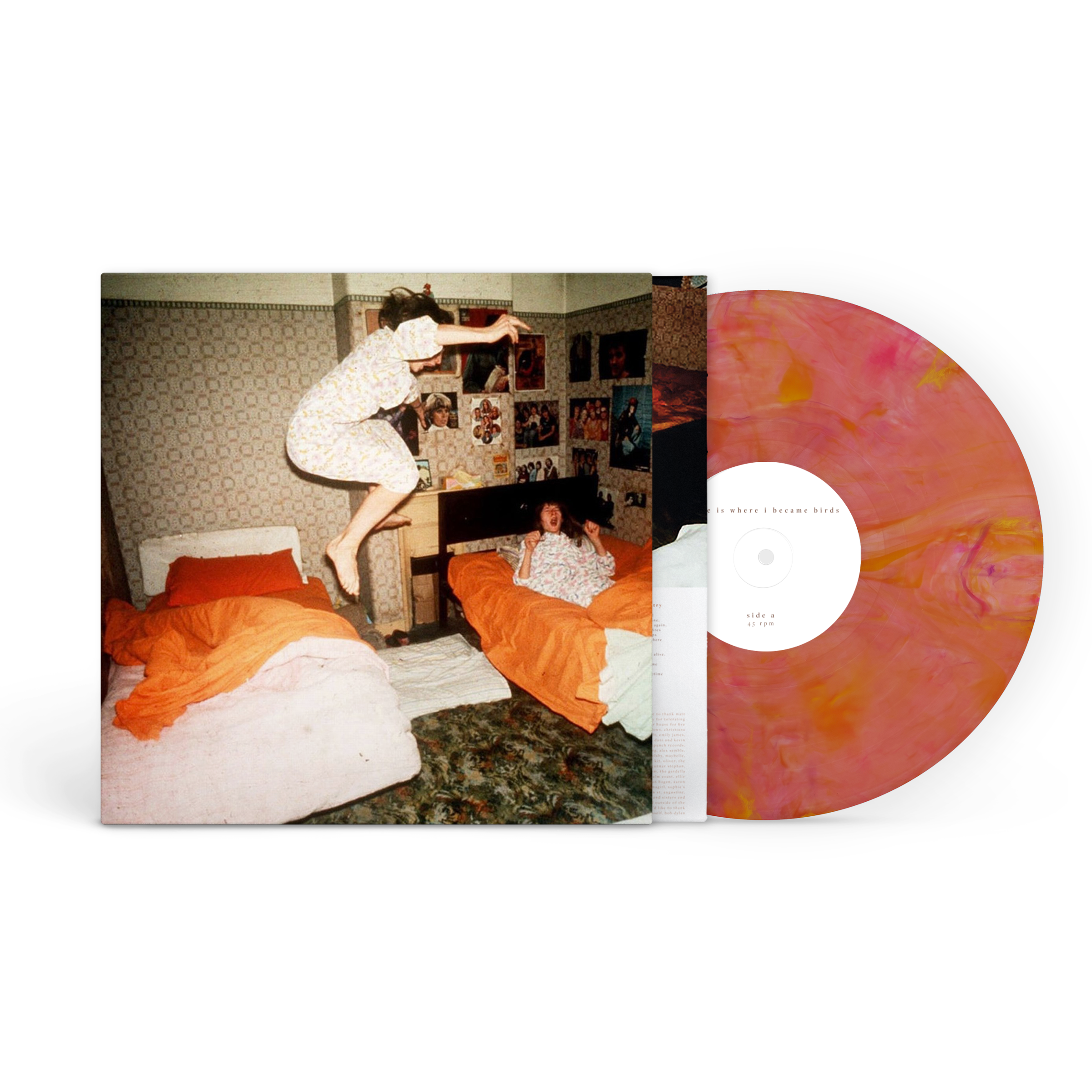 HOME IS WHERE 'I BECAME BIRDS' LP - GUAVA BLEND