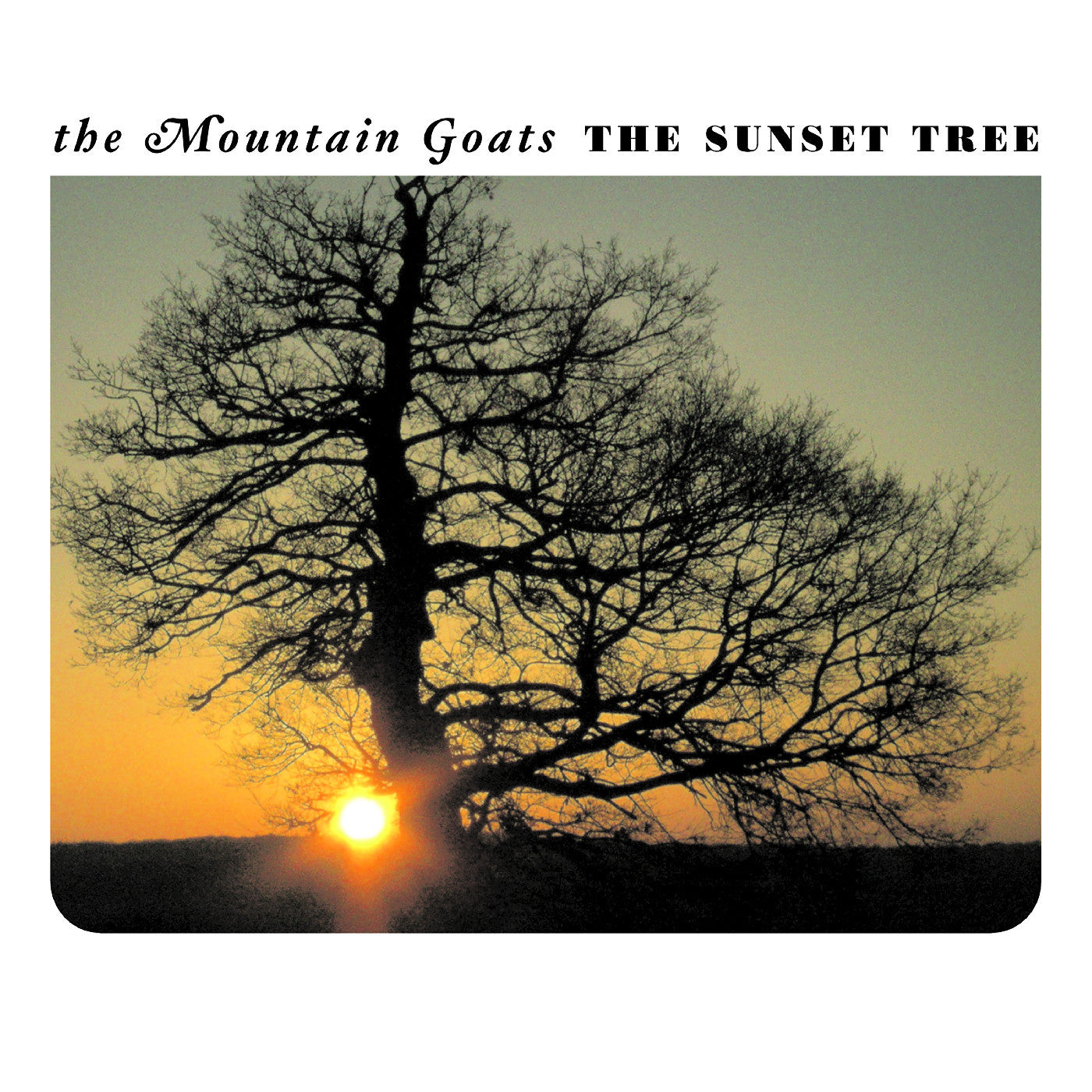 THE MOUNTAIN GOATS 'THE SUNSET TREE' 20TH ANNIVERSARY LP - APRICOT
