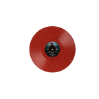 A KILLER'S CONFESSION 'VICTIM 2' LP