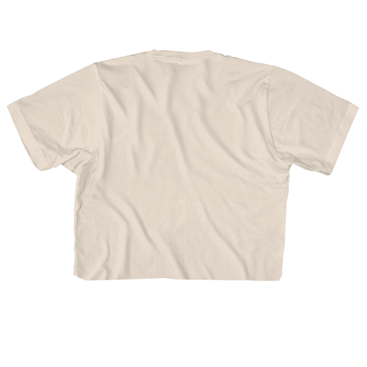 SPICE GIRLS GROUP PHOTO 21" CROPPED NATURAL T-SHIRT