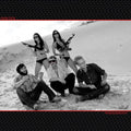 DEER TICK 'WAR ELEPHANT' 2LP - HEAVY METAL