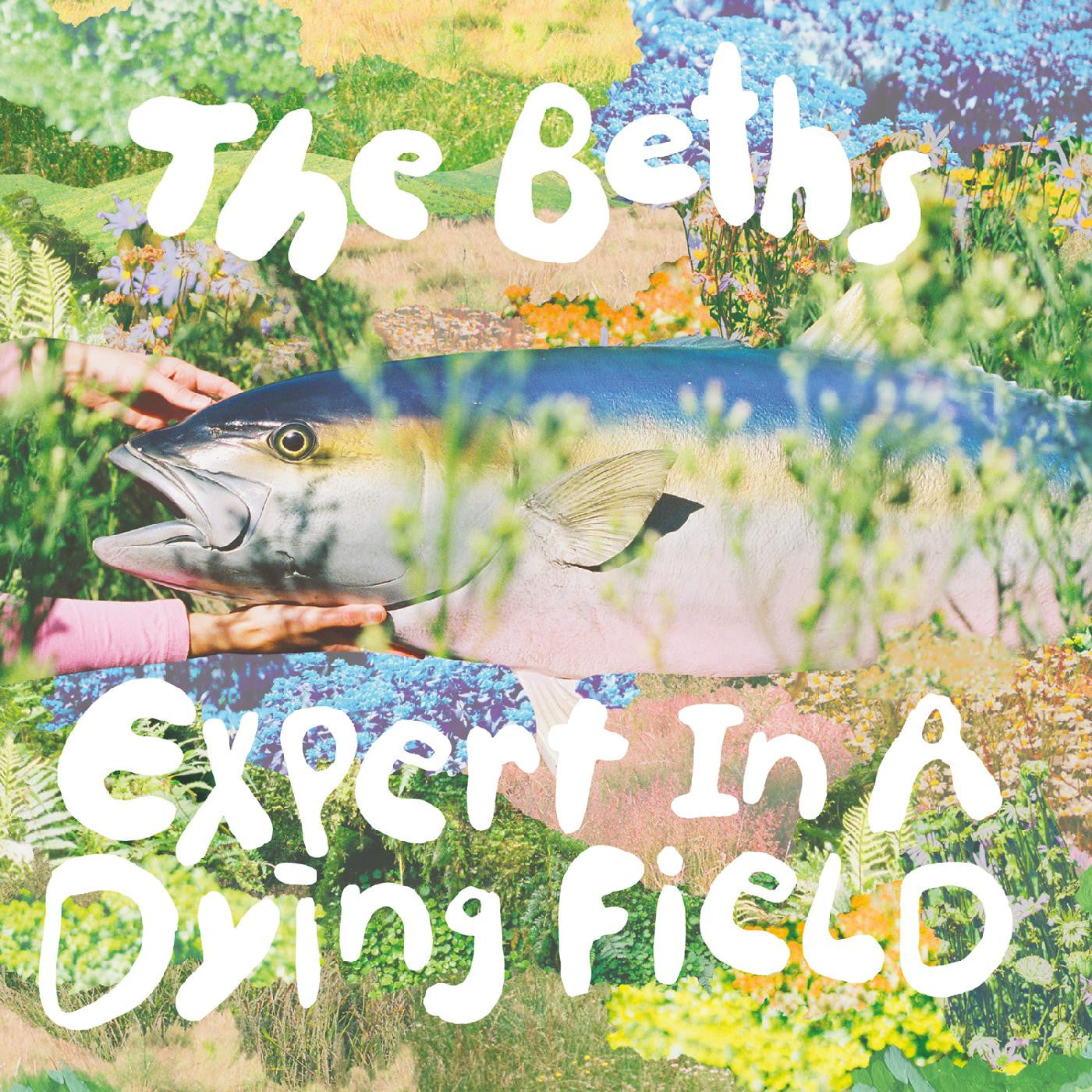 THE BETHS 'EXPERT IN A DYING FIELD' LP - BONE