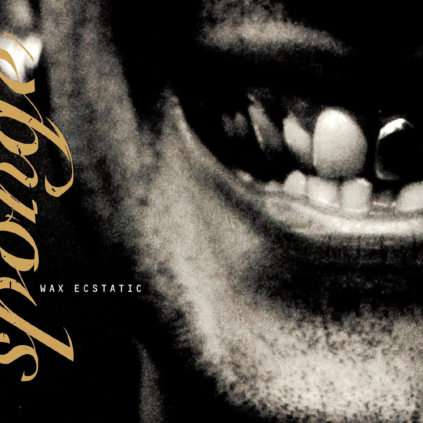 SPONGE 'WAX ECSTATIC' LP - GALAXY /BEER/BLACK
