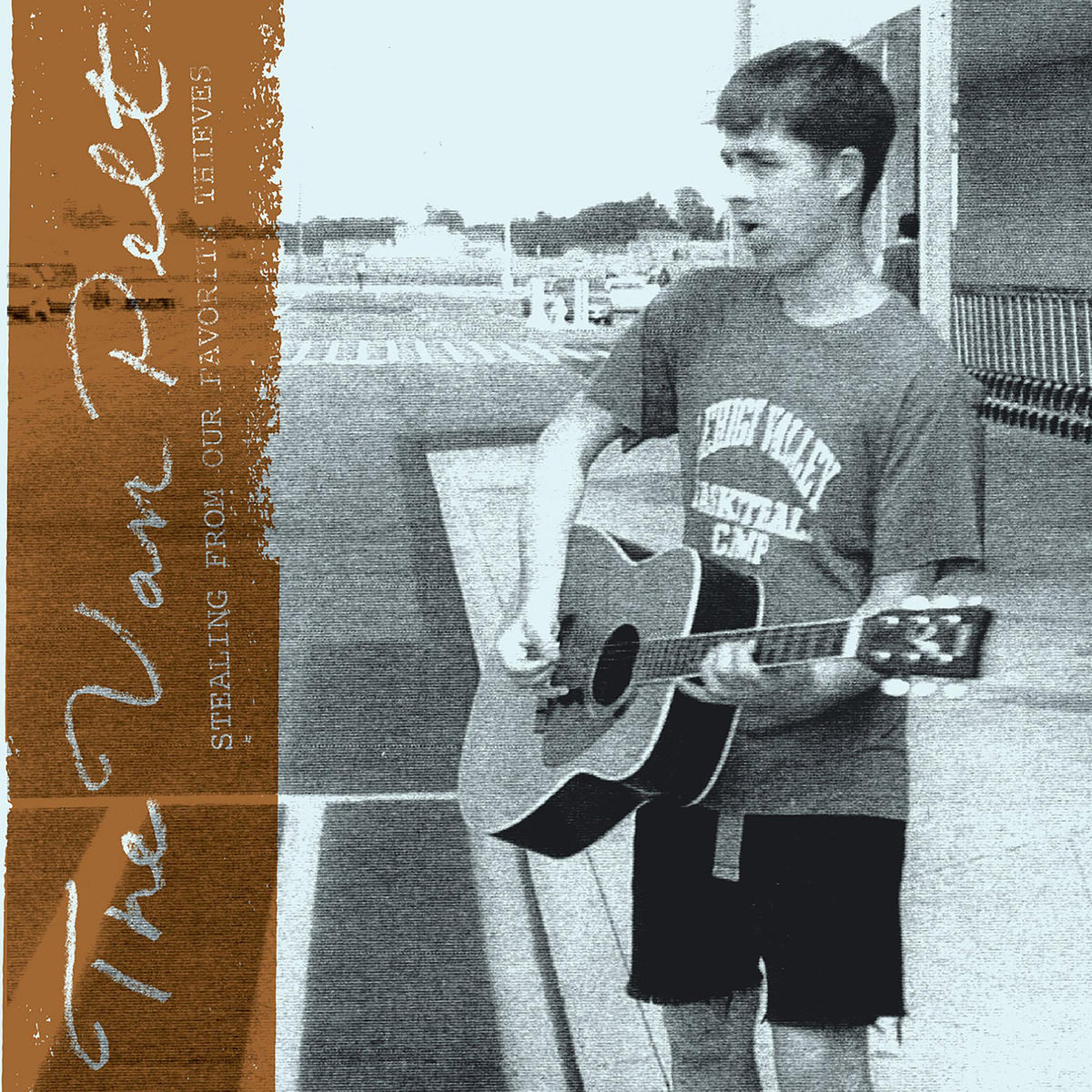 THE VAN PELT 'STEALING FROM OUR FAVORITE THIEVES' LP - LTD. - BEER