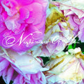 NIGHTMARE OF YOU 'NIGHTMARE OF YOU'