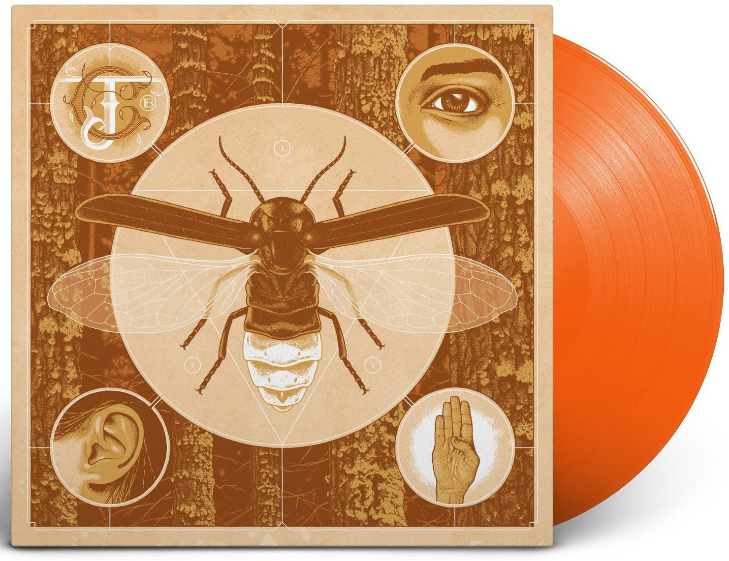 JERRY CANTRELL ‘BRIGHTEN’ LP - LTD. 500 - HALLOWEEN ORANGE