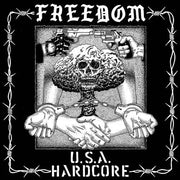 FREEDOM 'U.S.A. HARDCORE' LP - GREEN MARBLE