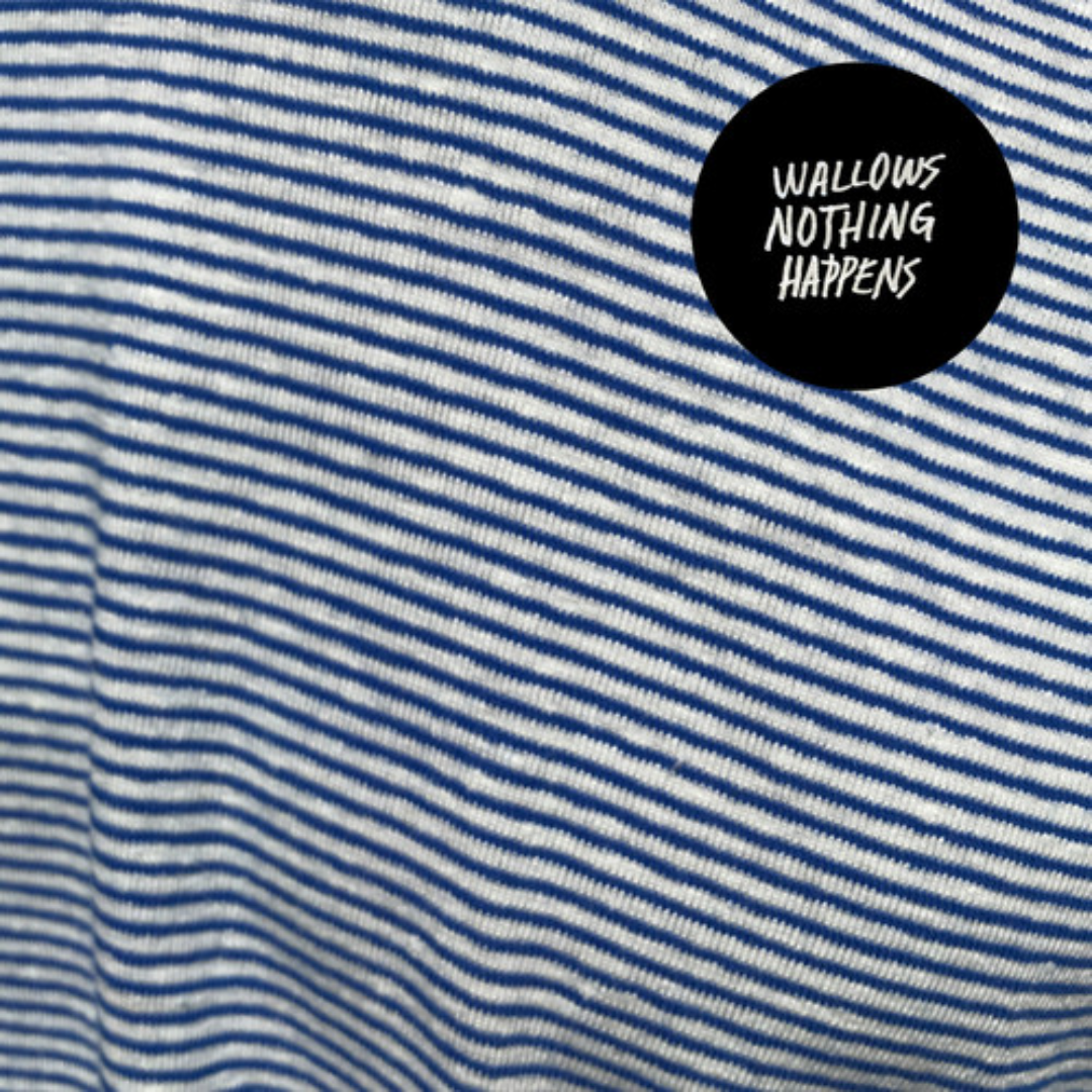 WALLOWS 'NOTHING HAPPENS' LP