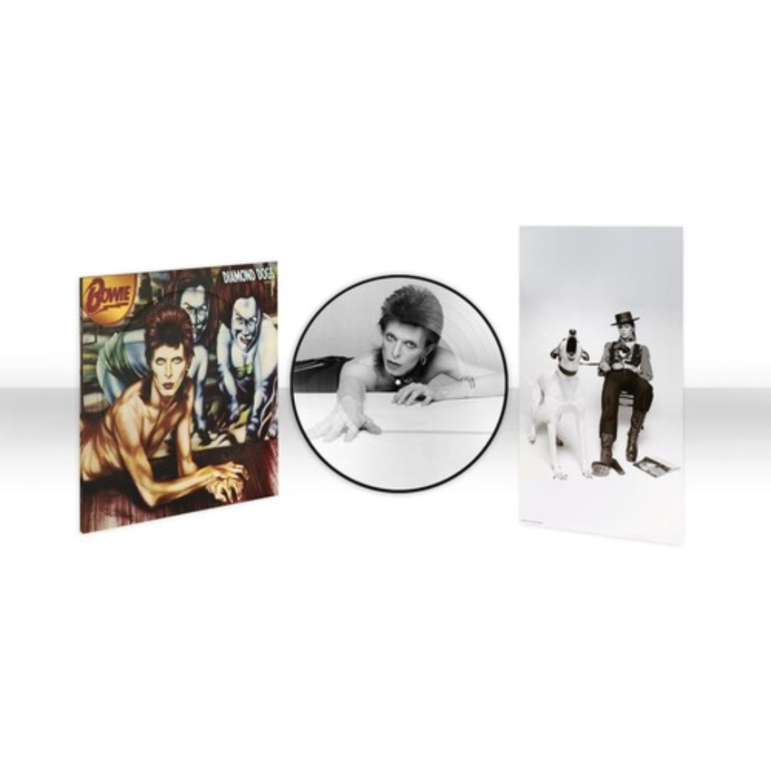 DAVID BOWIE 'DIAMOND DOGS' 50TH ANNIVERSARY LP - PICTURE DISC
