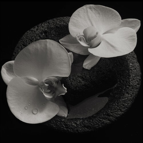 MIKE PATTON 'CORPSE FLOWER' LP - SMOKE