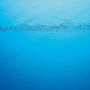 CARIBOU 'SUDDENLY' LP