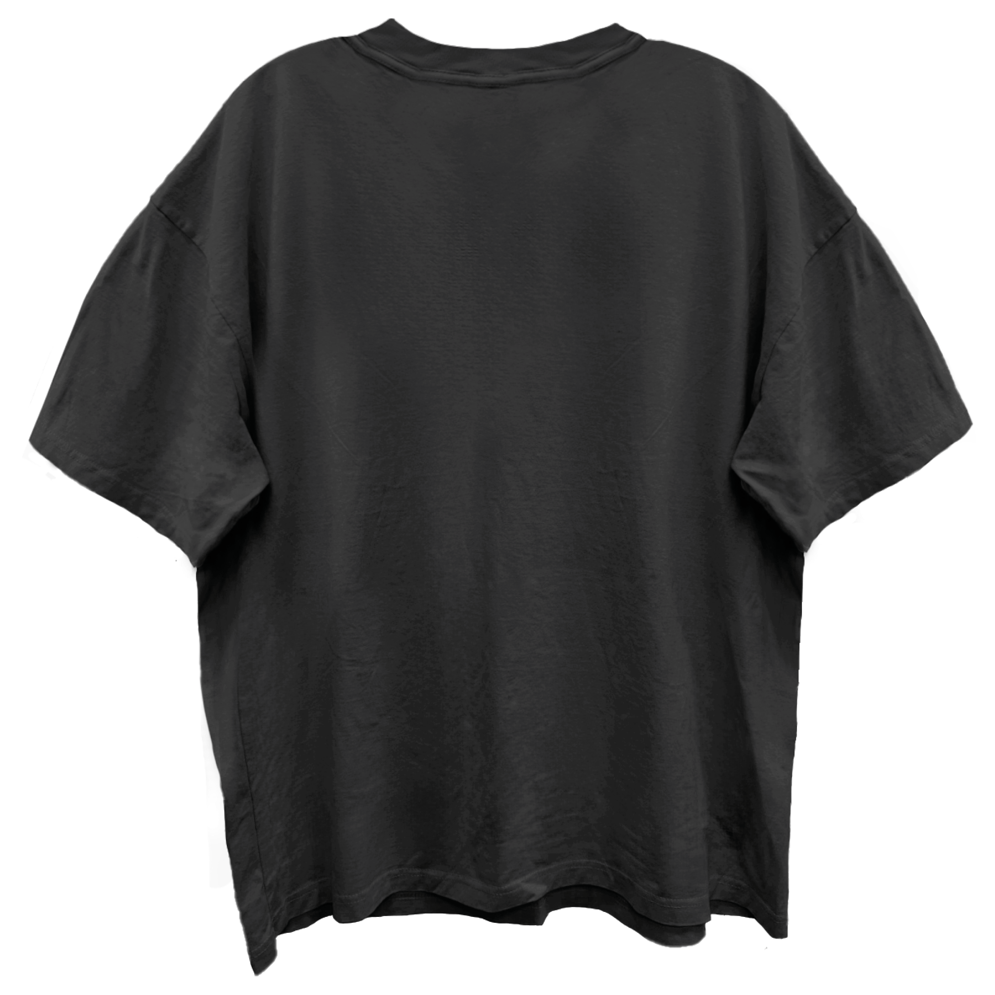 AEROSMITH GUITAR WINGS VINTAGE BLACK ENZYME WASH T-SHIRT/GIANT VINTAGE