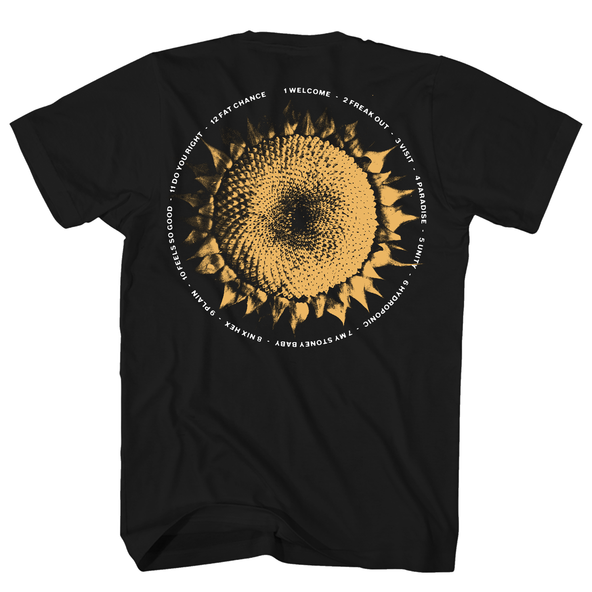 311 GROUP PORTRAIT DOUBLE SIDED