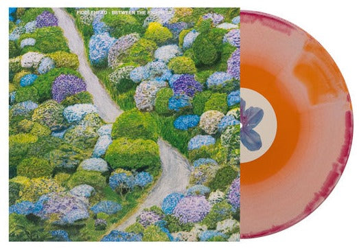 FIDDLEHEAD 'BETWEEN THE RICHNESS' LP - ORANGE/RED/CREAM SWIRL