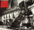 MR. BIG 'LEAN INTO IT' 30TH ANNIVERSARY EDITION LP