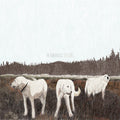 FOXING 'THE ALBATROSS: TEN YEARS' LP - BROWN