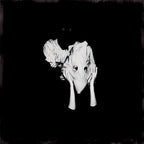 SIGUR ROS 'KVEIKUR' 10TH ANNIVERSARY EDITION 2LP