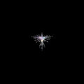 KAREN O & DANGER MOUSE 'LUX PRIMA' LP