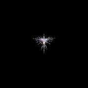 KAREN O & DANGER MOUSE 'LUX PRIMA' LP