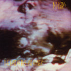MINISTRY 'THE LAND OF RAPE AND HONEY' 2LP - DELUXE EDITION