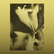FLYING LOTUS '1983' LP