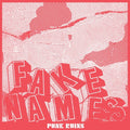 FAKE NAMES 'PUNK RUINS' LP (Clear Vinyl)