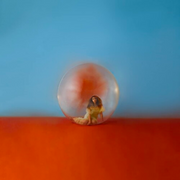 ALESSIA CARA 'IN THE MEANTIME' 2LP