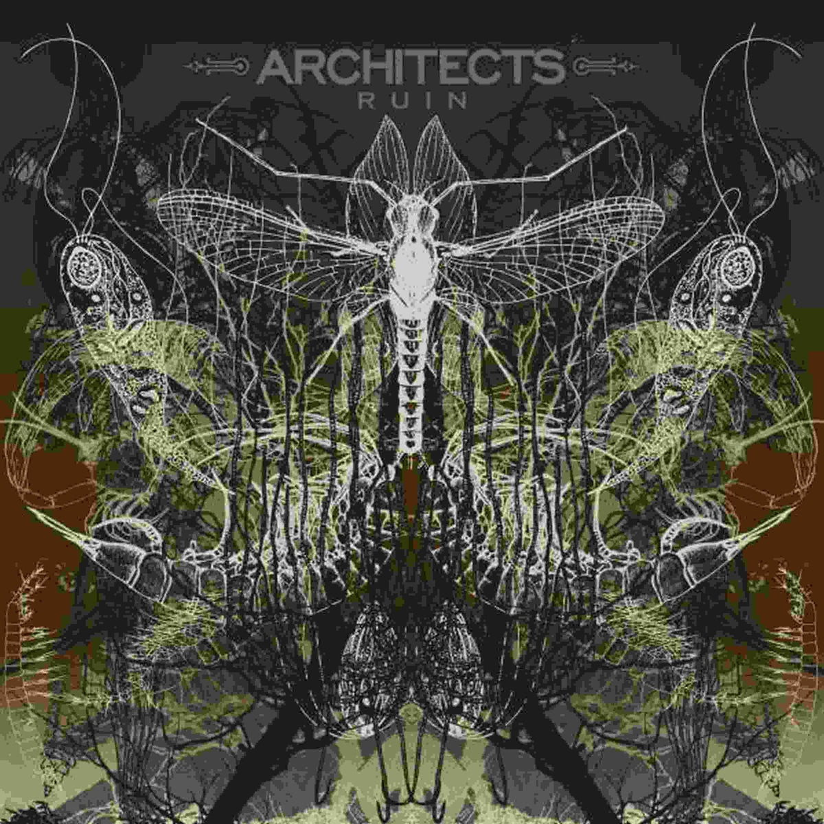ARCHITECTS 'RUIN' LP