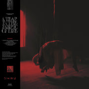 KNOCKED LOOSE 'A TEAR IN THE FABRIC OF LIFE' LP (Toffee Torrent Vinyl)