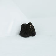 CHELSEA WOLFE 'HISS SPUN' 2LP - CLOUDY RED/CLEAR