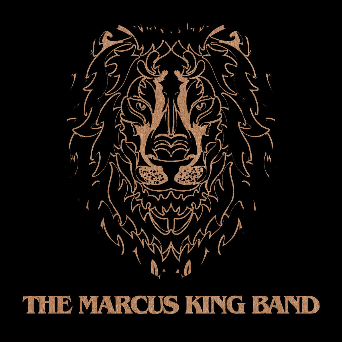 THE MARCUS KING BAND 'SELF TITLED' 2LP - BLACK