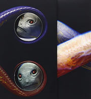 TOOL 'VICARIOUS' DVD