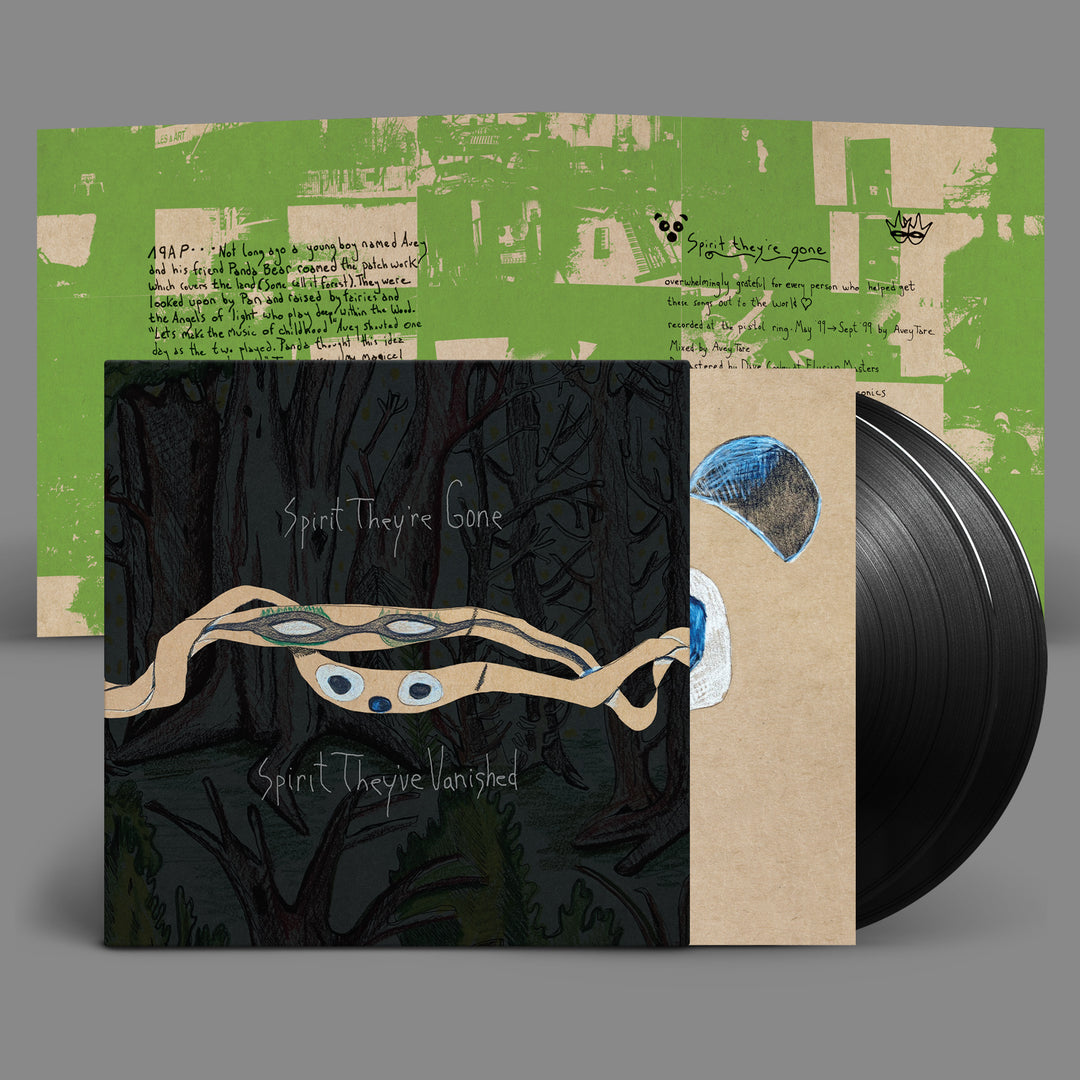 ANIMAL COLLECTIVE 'SPIRIT THEY'RE GONE, SPIRIT THEY'VE VANISHED' 2LP (Remastered 2023 Edition)