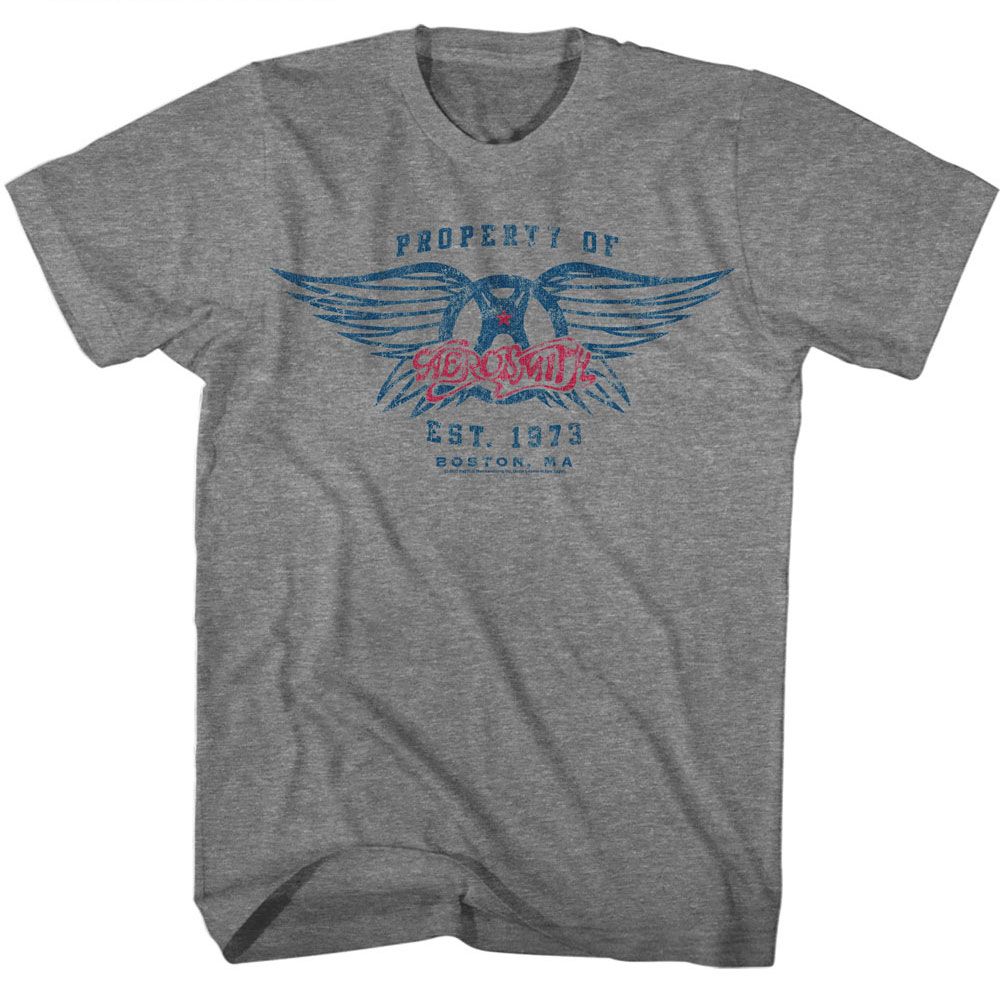 AEROSMITH - EST. 1970 SHIRT