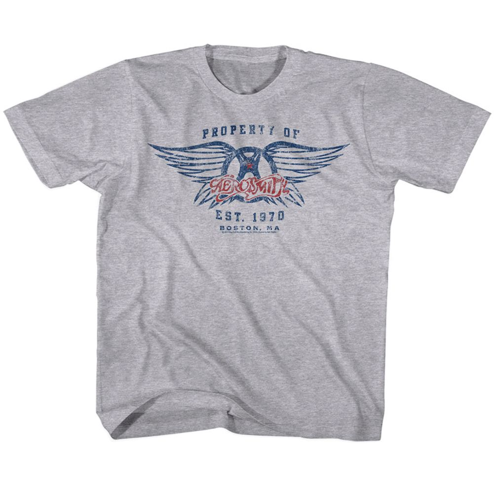 AEROSMITH - EST. 1970 YOUTH SHIRT
