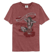AEROSMITH - PV SHIRT