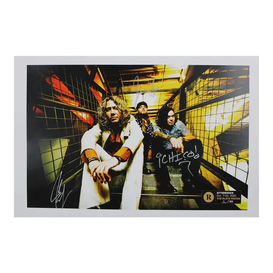 THE BLACK MOODS X REVOLVER x AFTERSHOCK- SIGNED FESTIVAL POSTER