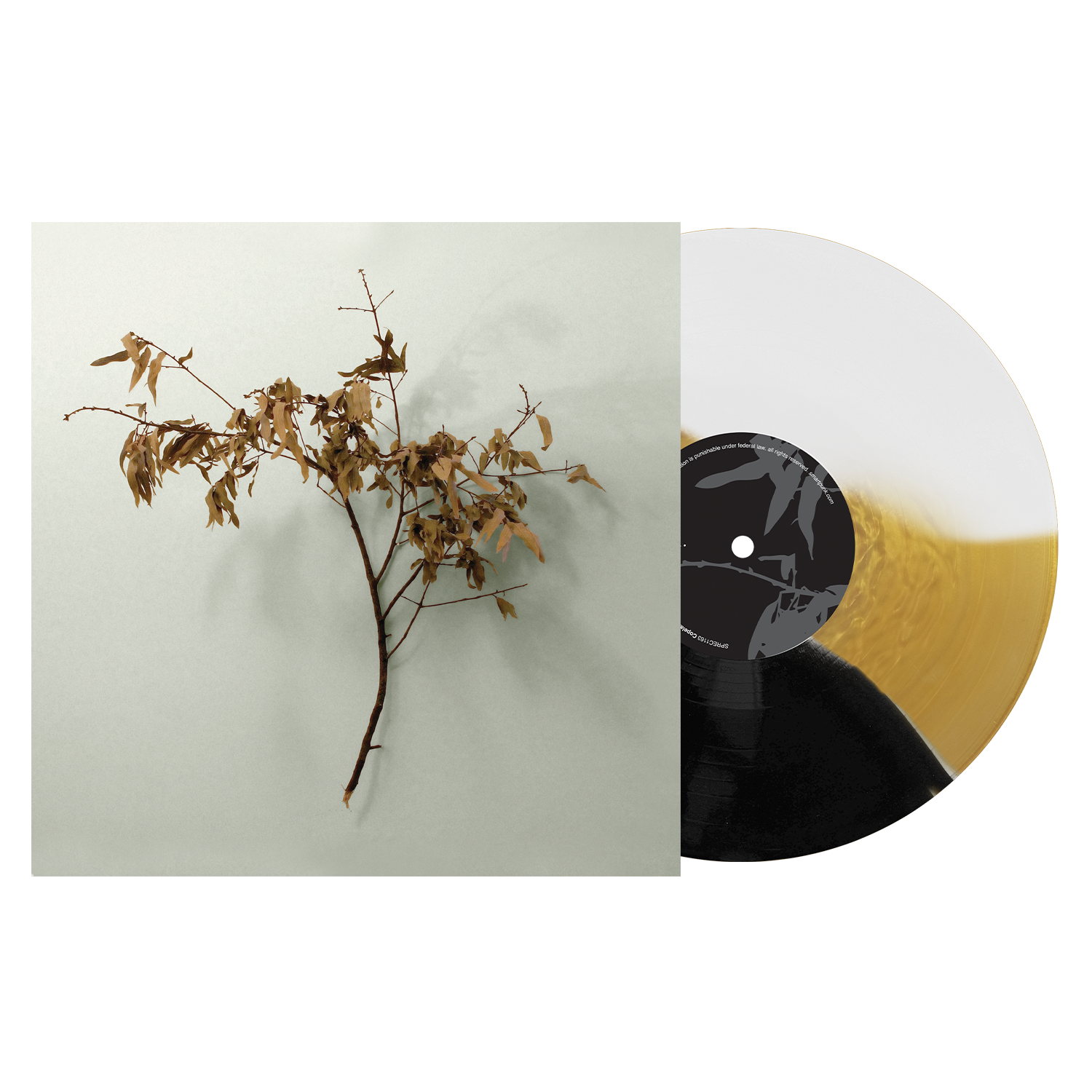 COPELAND ‘IN MOTION’ 20TH ANNIVERSARY LP - EXCLUSIVE - LTD. 250 - VARIOUS COLORS