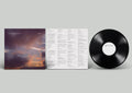 CLAP YOUR HANDS SAY YEAH 'BURNED' LP