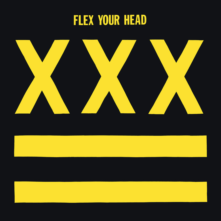'FLEX YOUR HEAD' LP - FT. TEEN IDLES, UNTOUCHABLES, SOA, MINOR THREAT & MORE