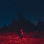 PHOEBE BRIDGERS 'PUNISHER' LP