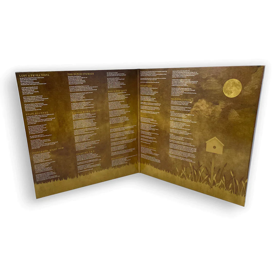 THE SPILL CANVAS ‘ONE FELL SWOOP’ 2LP - EXCLUSIVE - LTD. 200 - BEER/SWAMP GREEN/SPLATTER
