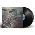 Fleet Foxes Shore Vinyl