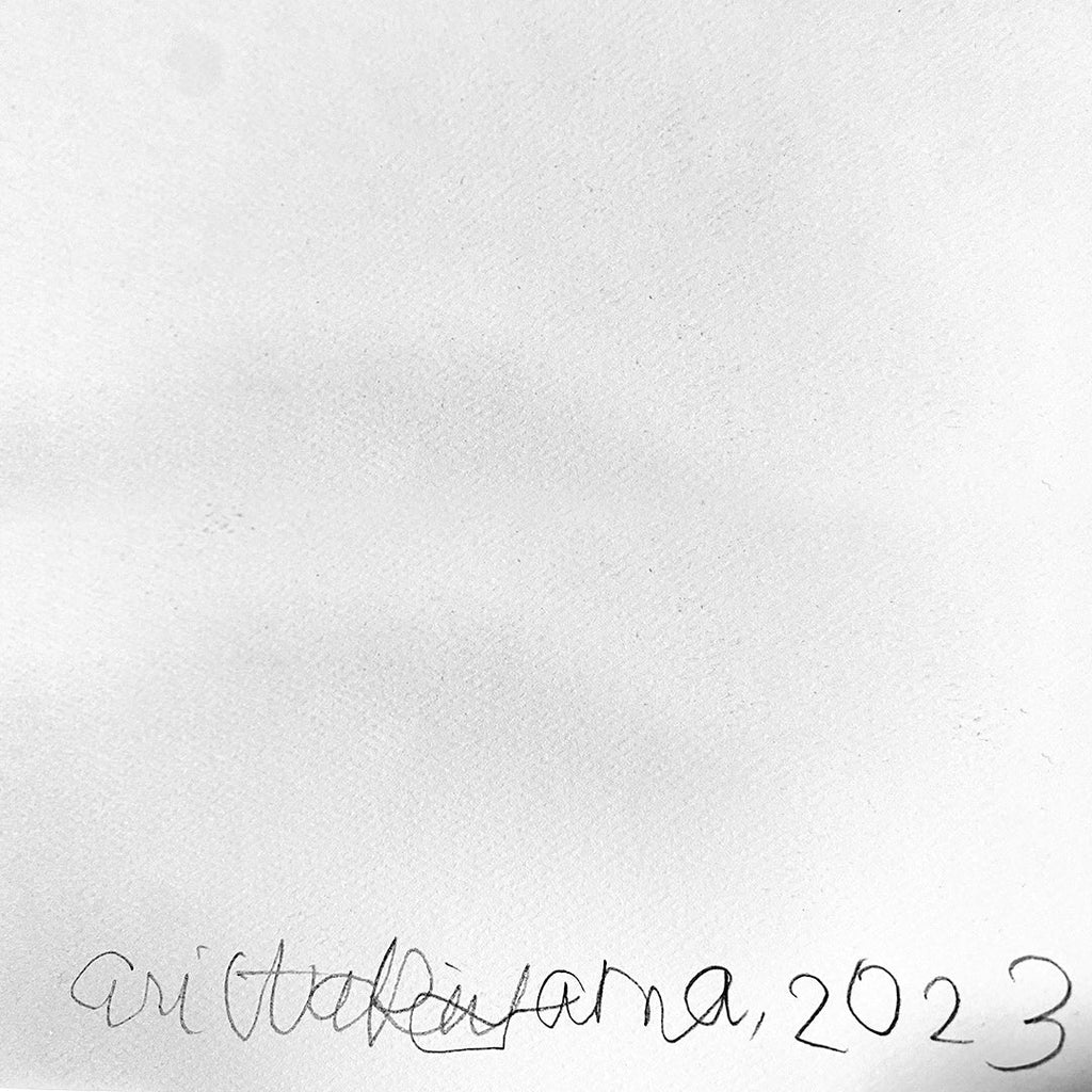 GREEN DAY INSPIRED PRINT - NUMBERED and ARTIST SIGNED