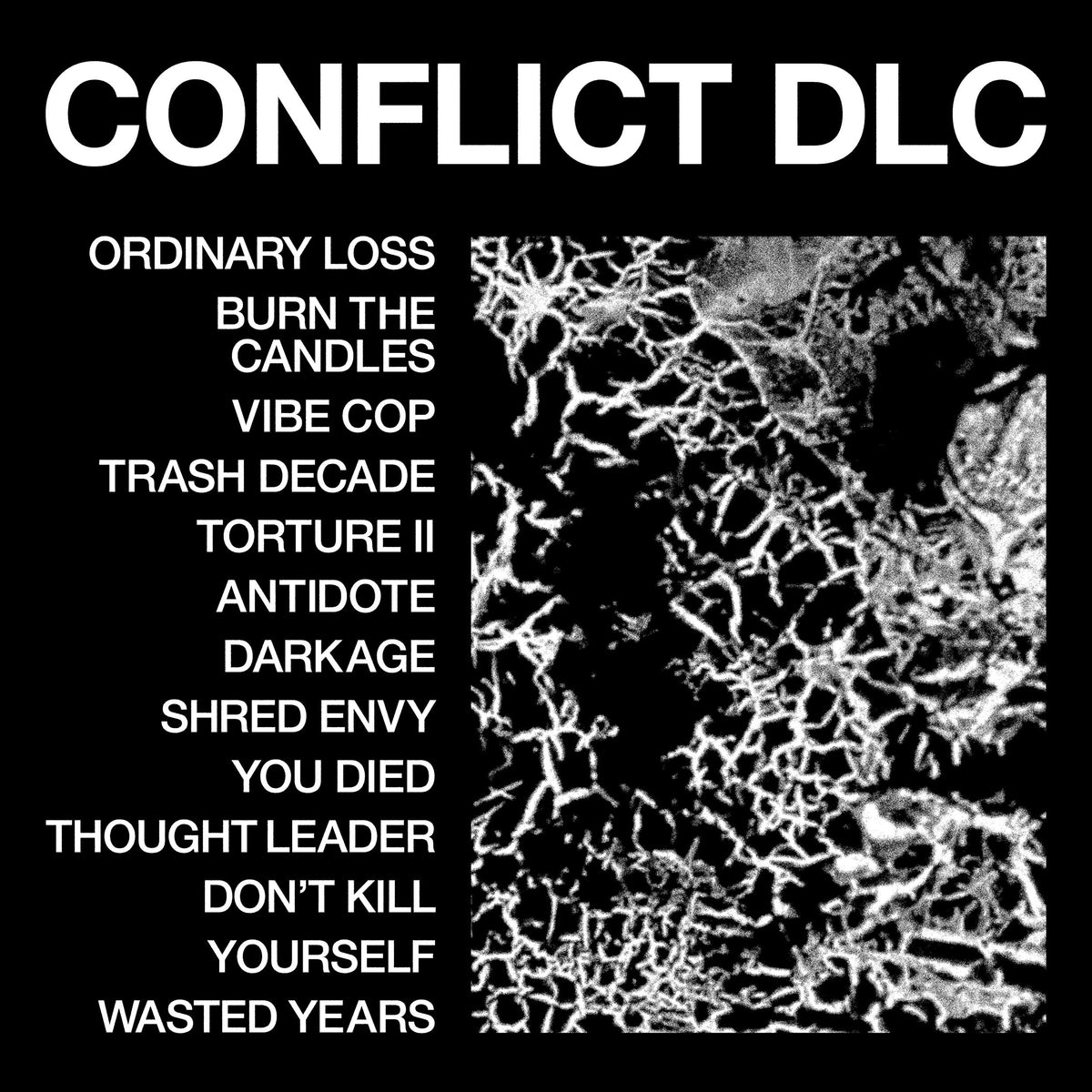 HEALTH 'CONFLICT DLC' CD