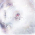 GLIXEN'SHE ONLY SAID' LP - FRUIT PUNCH