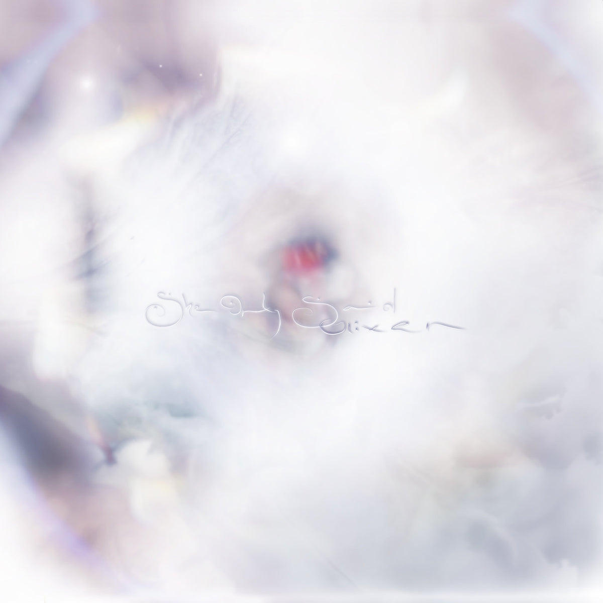 GLIXEN'SHE ONLY SAID' LP - FRUIT PUNCH